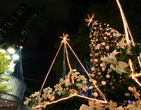 Christmas Wallpapers 201
